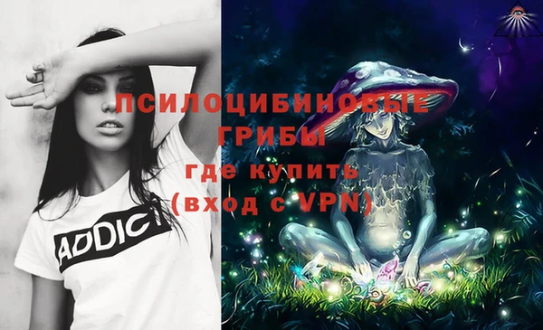 спайс Валдай