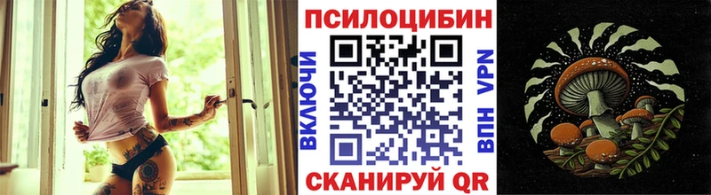 Галлюциногенные грибы Psilocybe  цены   Ишимбай 